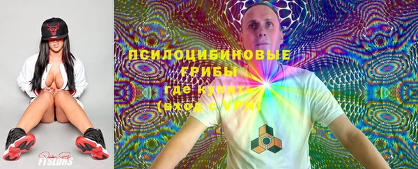 apvp Гусь-Хрустальный