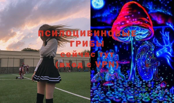 каннабис Гусиноозёрск
