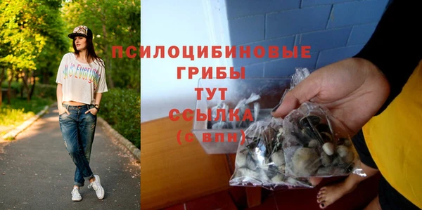 каннабис Гусиноозёрск