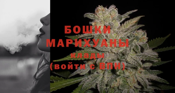 apvp Гусь-Хрустальный