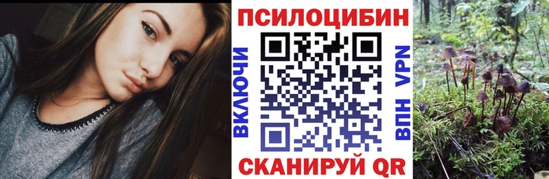 Галлюциногенные грибы Magic Shrooms Буй
